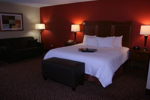 Hampton Inn Chicago-Carol Stream - Carol Stream - Bedroom