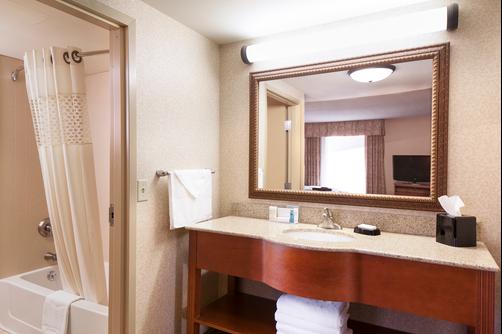 Hampton Inn Dubuque - Dubuque - Bathroom