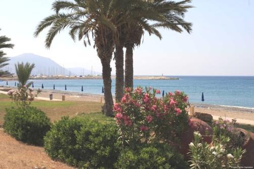 Marion Hotel - Polis Chrysochous - Beach