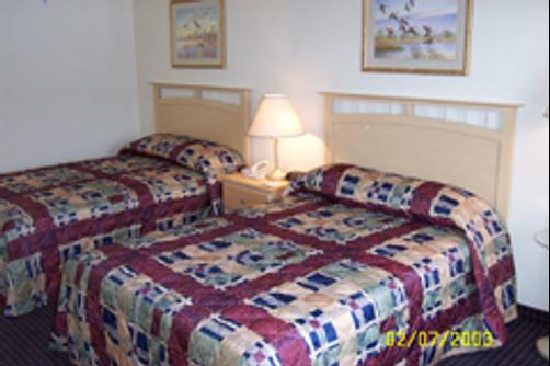 Ameristay Inn & Suites - Waverly - Double room