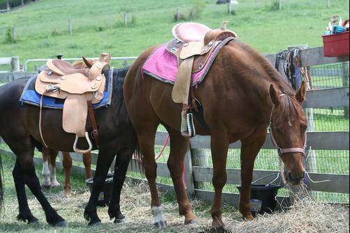 Heartland Country Resort - Bed And Breakfast - Fredericktown - Attractions