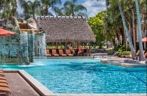 Bonaventure Resort & Spa - Weston - Pool