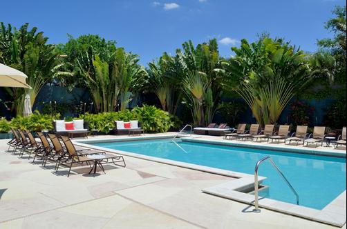 Bonaventure Resort & Spa - Weston - Pool