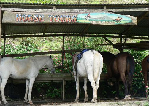 Hotel Arenal Lodge - La Fortuna - Attractions