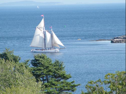 Strawberry Hill Seaside Inn - Rockport