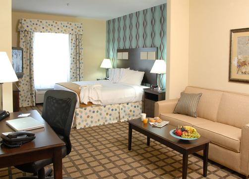Holiday Inn Express Hotel & Suites Atlanta Southwest-Fairburn - Fairburn - Bedroom