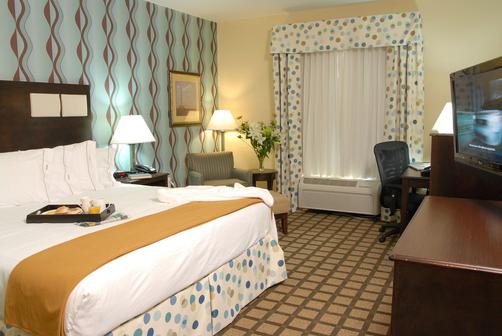 Holiday Inn Express Hotel & Suites Atlanta Southwest-Fairburn - Fairburn - King bedroom