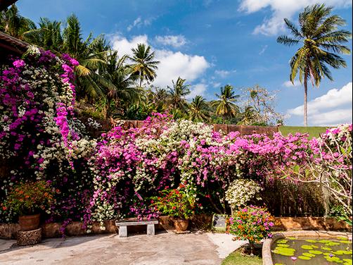 Thavorn Beach Village & Spa - Kathu - Outdoors view