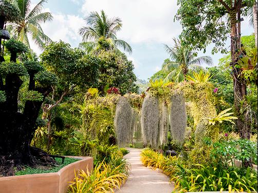 Thavorn Beach Village & Spa - Kathu - Outdoors view