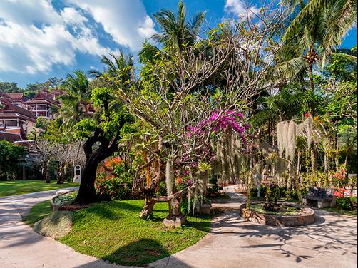 Thavorn Beach Village & Spa - Kathu - Outdoors view