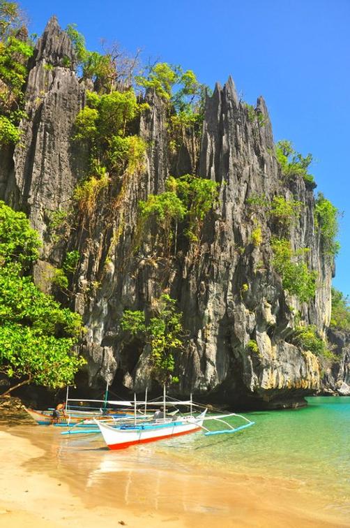 Palo Alto Bed & Breakfast - Puerto Princesa - Outdoors view