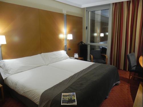 Silken Juan de Austria - Valladolid - Double room
