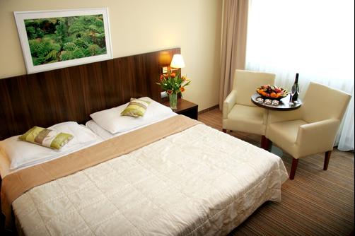 Hotel Bratislava - Bratislava - Business center