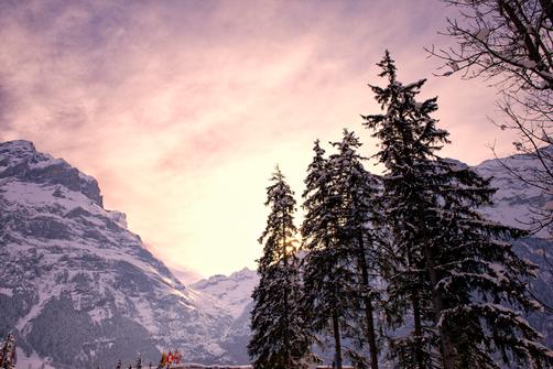 Central Hotel Wolter - Grindelwald - Attractions