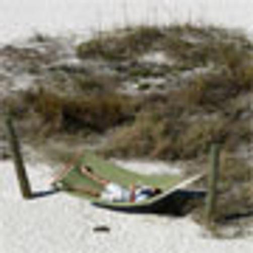 Sirata Beach Resort - Saint Pete Beach