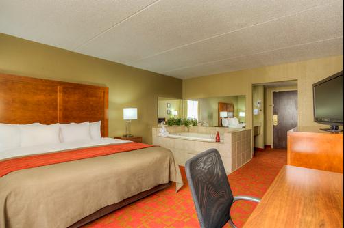 Comfort Inn Matthews/Charlotte - Matthews - King bedroom