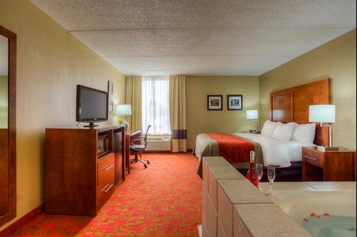 Comfort Inn Matthews/Charlotte - Matthews - King bedroom