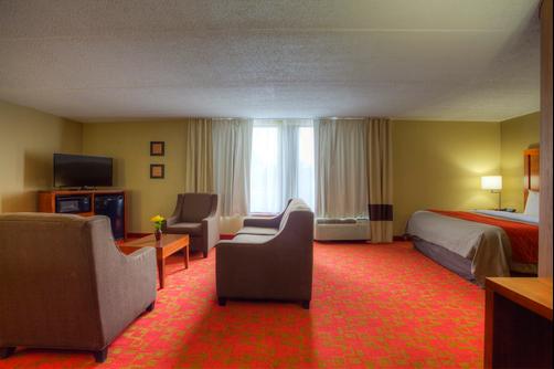 Comfort Inn Matthews/Charlotte - Matthews - King bedroom