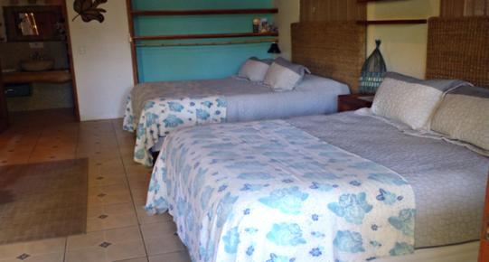 Blue Surf Sanctuary - Santa Teresa