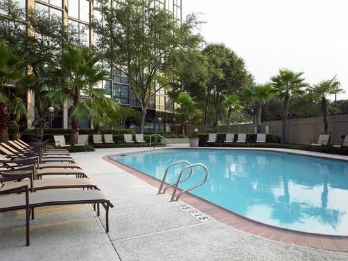 Sheraton Houston Brookhollow Hotel - Houston - Pool