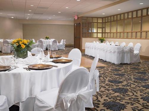 Sheraton Houston Brookhollow Hotel - Houston - Conference room