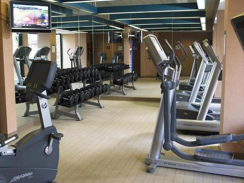 Sheraton Houston Brookhollow Hotel - Houston - Gym