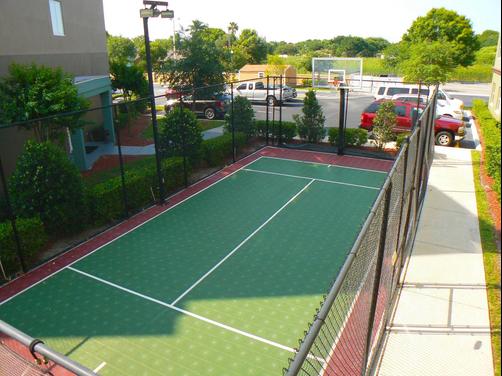 Residence Inn by Marriott Tampa Oldsmar - Oldsmar - Attractions