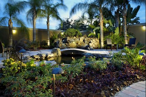 Courtyard by Marriott Tampa Oldsmar - Oldsmar - Outdoors view