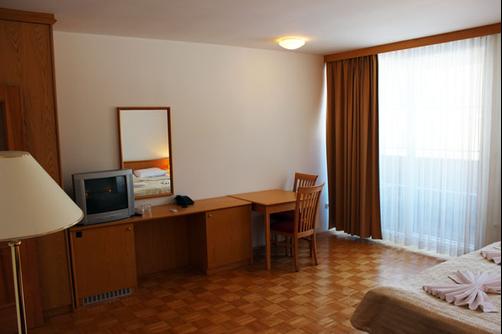 Hotel Bohinj - Ribčev Laz - Double room