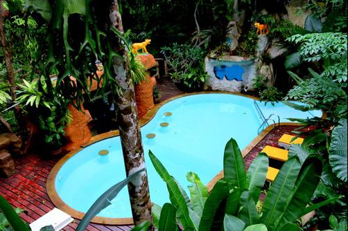 Khao Sok Tree House Resort - Khlong Sok - Pool