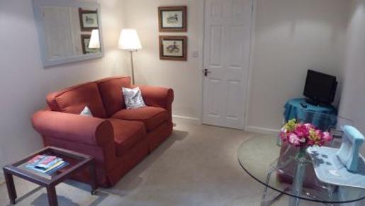 St David's Apartment - Bath - Living room