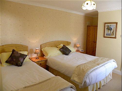 Maple Lodge - Wexford - Bed
