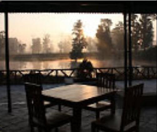 Tiger Lagoon Resort - Tala - Restaurant
