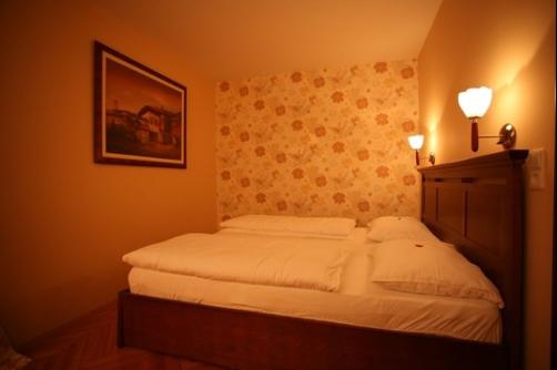 Hotel Pahuljica - Šišava - Bed