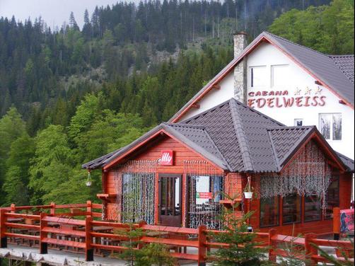 Cabana Edelweiss - Lupeni - Building
