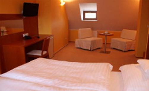 Hotel Katharein - Opava - Bed