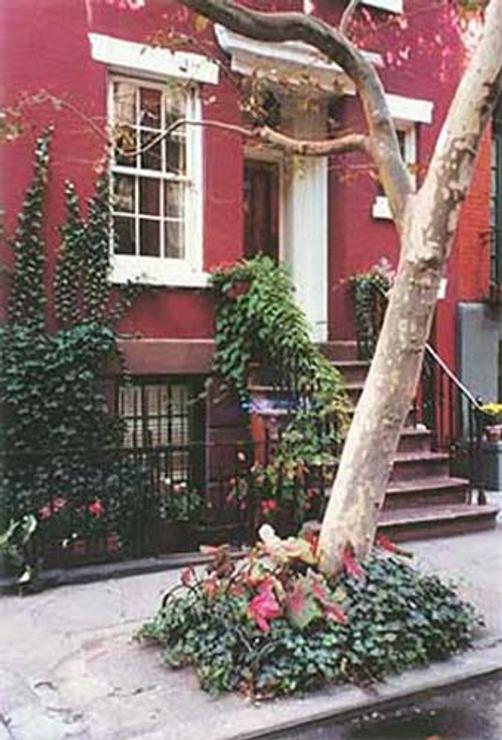 Rooms To Let - New York - Building