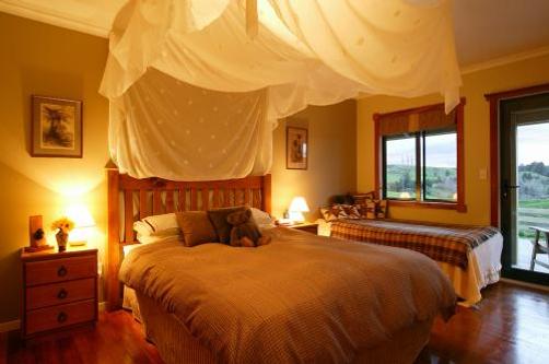 Abseil Inn - Waitomo Caves - Bedroom