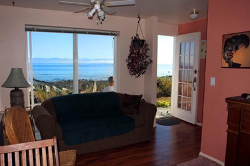 Copes Islander Oceanfront B&B - Comox - Living room