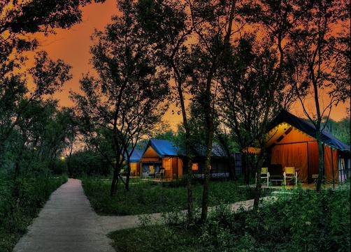 Kikar Lodge - Nurpur Kalan - Building