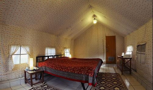 Kikar Lodge - Nurpur Kalan - Bedroom