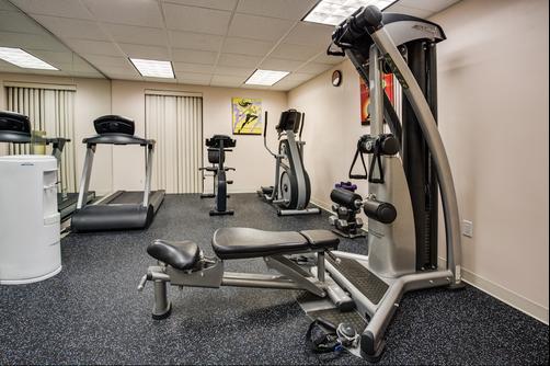 Holiday Inn Express & Suites Tampa Northwest-Oldsmar - Oldsmar - Gym