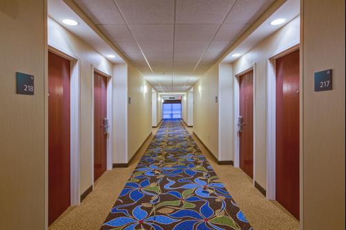 Holiday Inn Express & Suites Tampa Northwest-Oldsmar - Oldsmar - Lobby