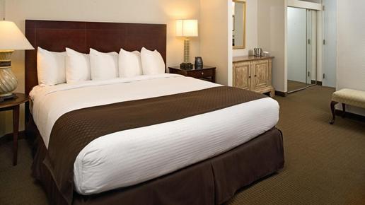 Doubletree Hotel Chicago/Schaumburg - Schaumburg - Bedroom