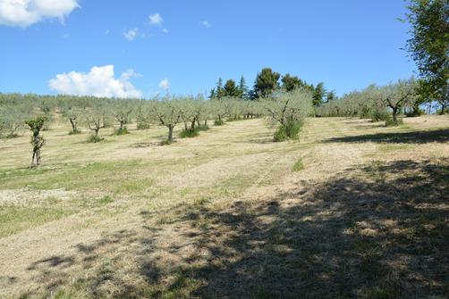 Casale Fusco - Spoleto - Attractions