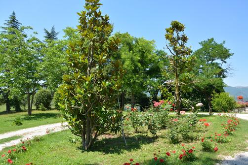 Casale Fusco - Spoleto - Outdoors view