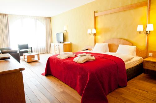 Hotel Rosatsch - Pontresina - Double room