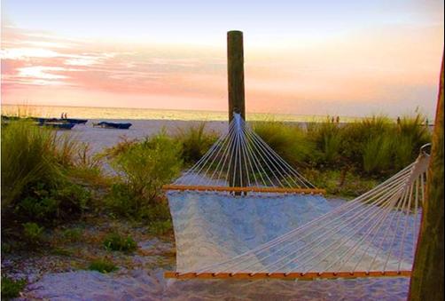 Sirata Beach Resort - Saint Pete Beach - Beach