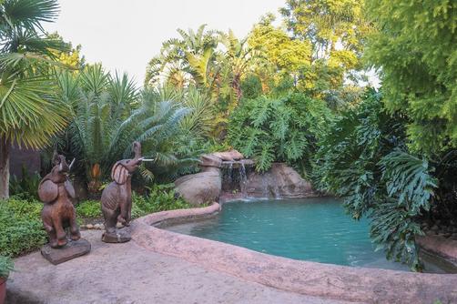 Cosmos Cuisine - Addo - Pool