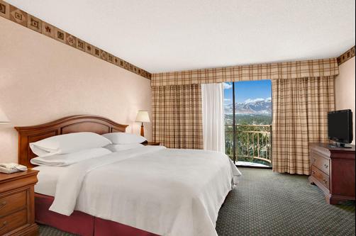 Embassy Suites Colorado Springs - Colorado Springs - Bedroom